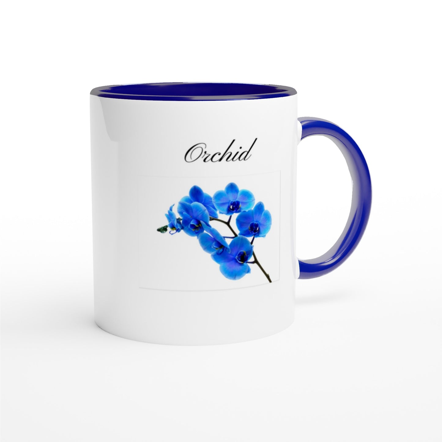 a481ca64-730b-4e1d-beb2-d620c99803e8