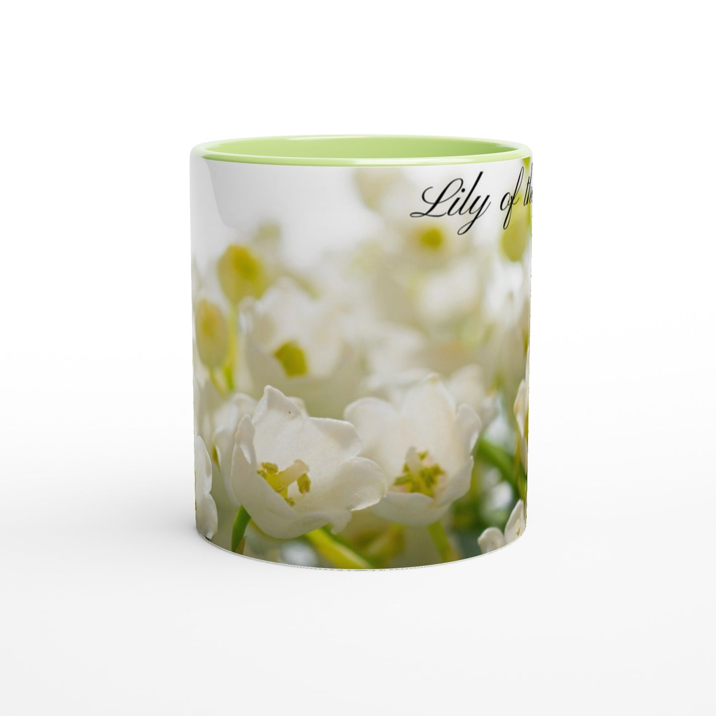 d8755513-7773-4080-af84-66b59082f2f0